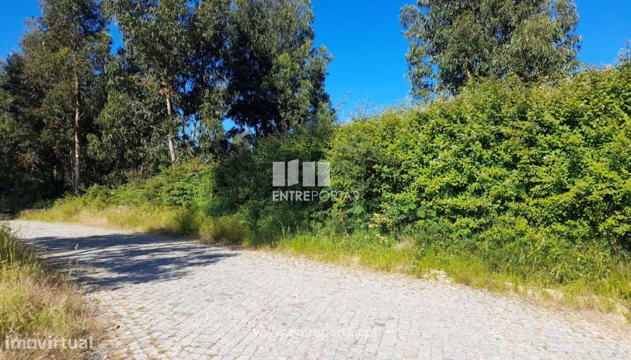 Venda Terreno com possibilidade de construção, Rosém, Marco de Cana - Grande imagem: 5/30