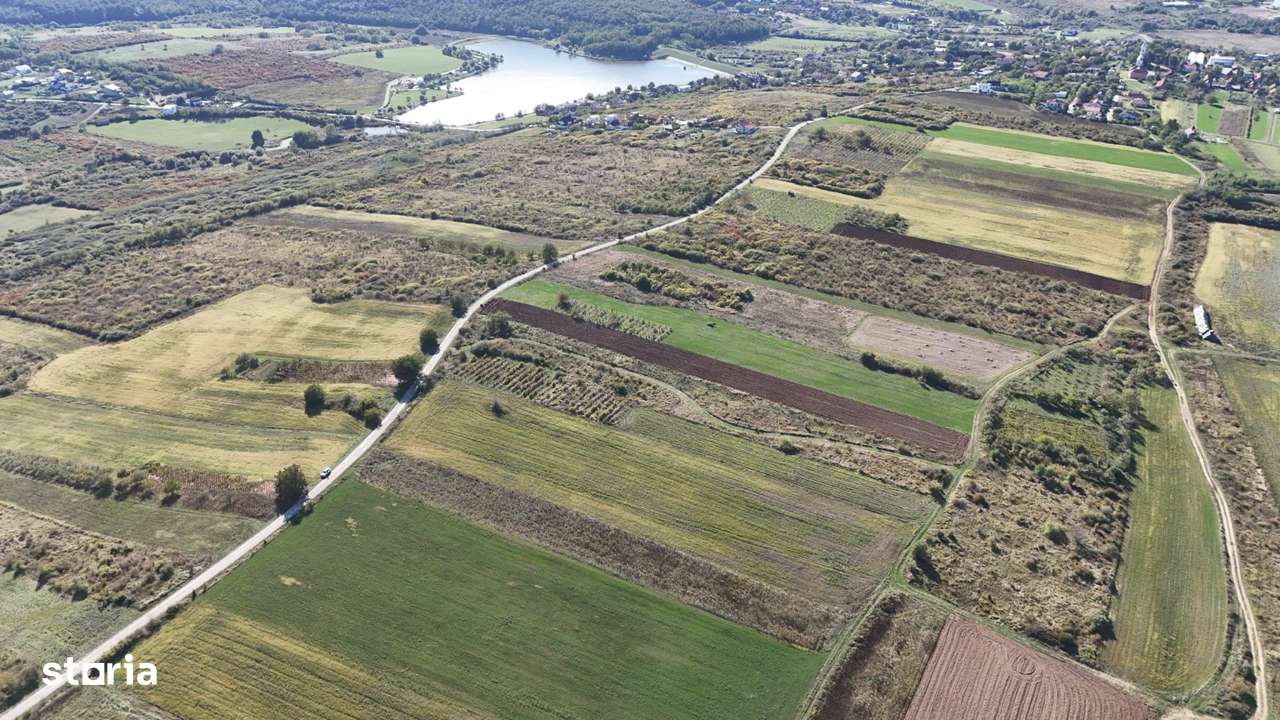 Teren intravilant în paleu de vânzare - Imagine principală: 2/5