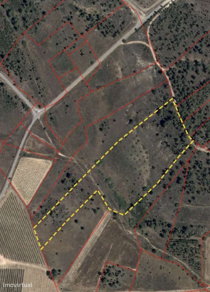 Quinta T0 Venda em Sarzedas,Castelo Branco - Grande imagem: 5/30