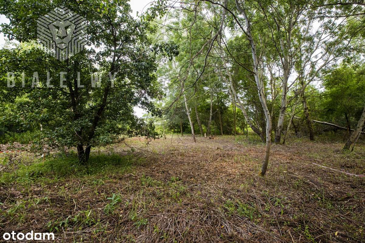 Działka pod dom Wilcza Góra - Pełny obrazek: 4/17