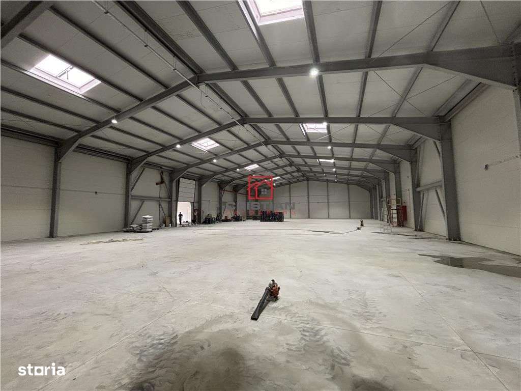 Vanzare depozithalaspatiu industrial Otopeni - Centura Nord - Imagine principală: 1/20