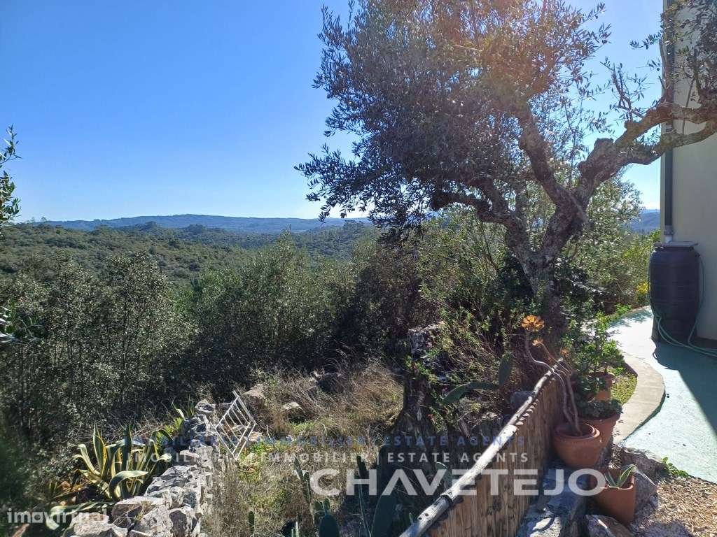 Casa T3 com r/ch e primeiro andar com garagem, arrecadação, jardim,... - Grande imagem: 4/60