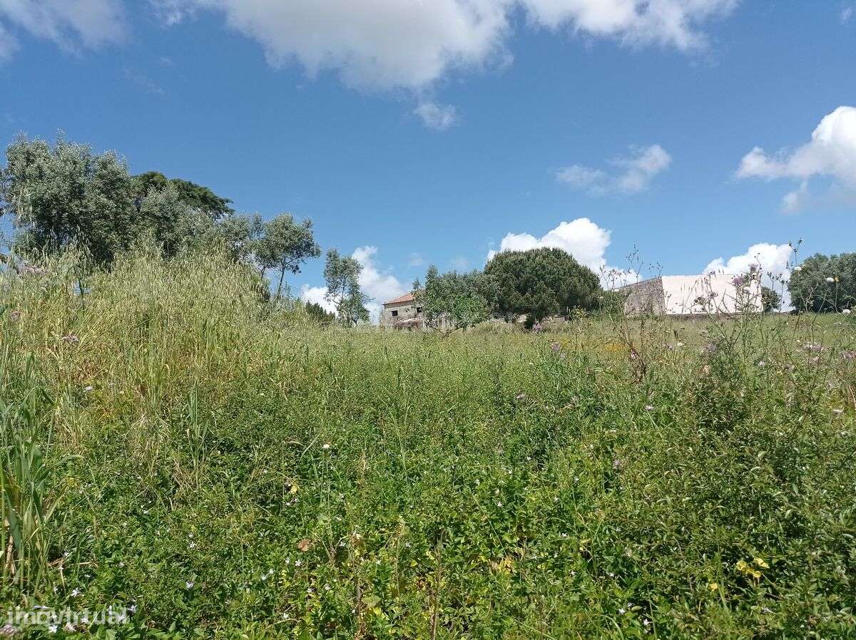 Quinta com 6600m2 em zona nobre de Belas - Grande imagem: 5/23