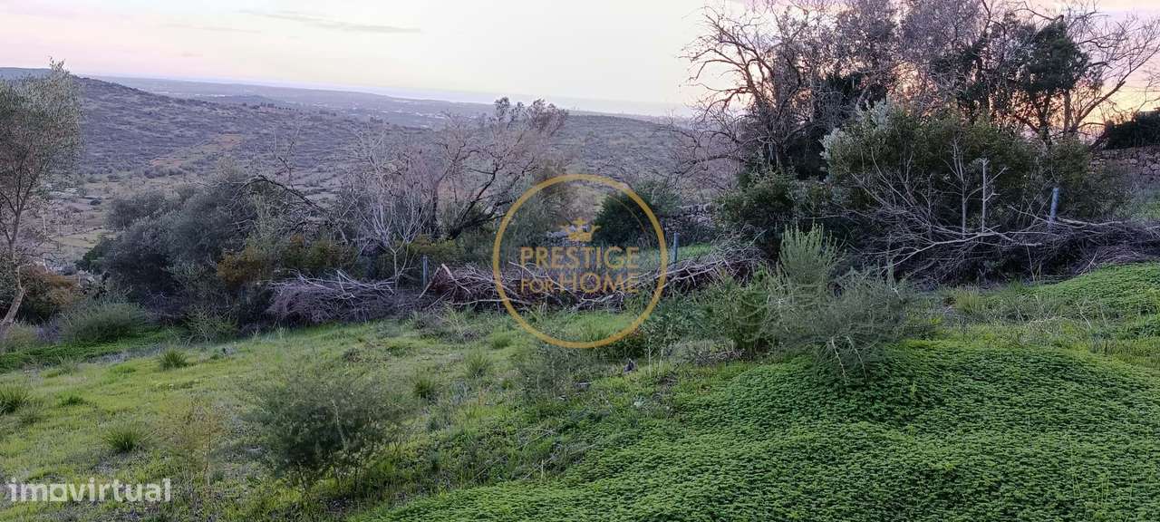 Terreno com ruina e ampla vista aberta da Picota até ao mar-5