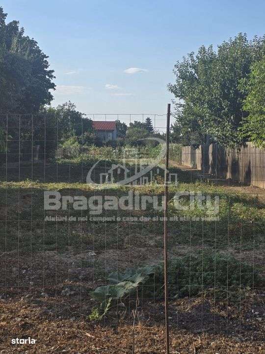 Teren ingradit pentru casa Cornetu-5