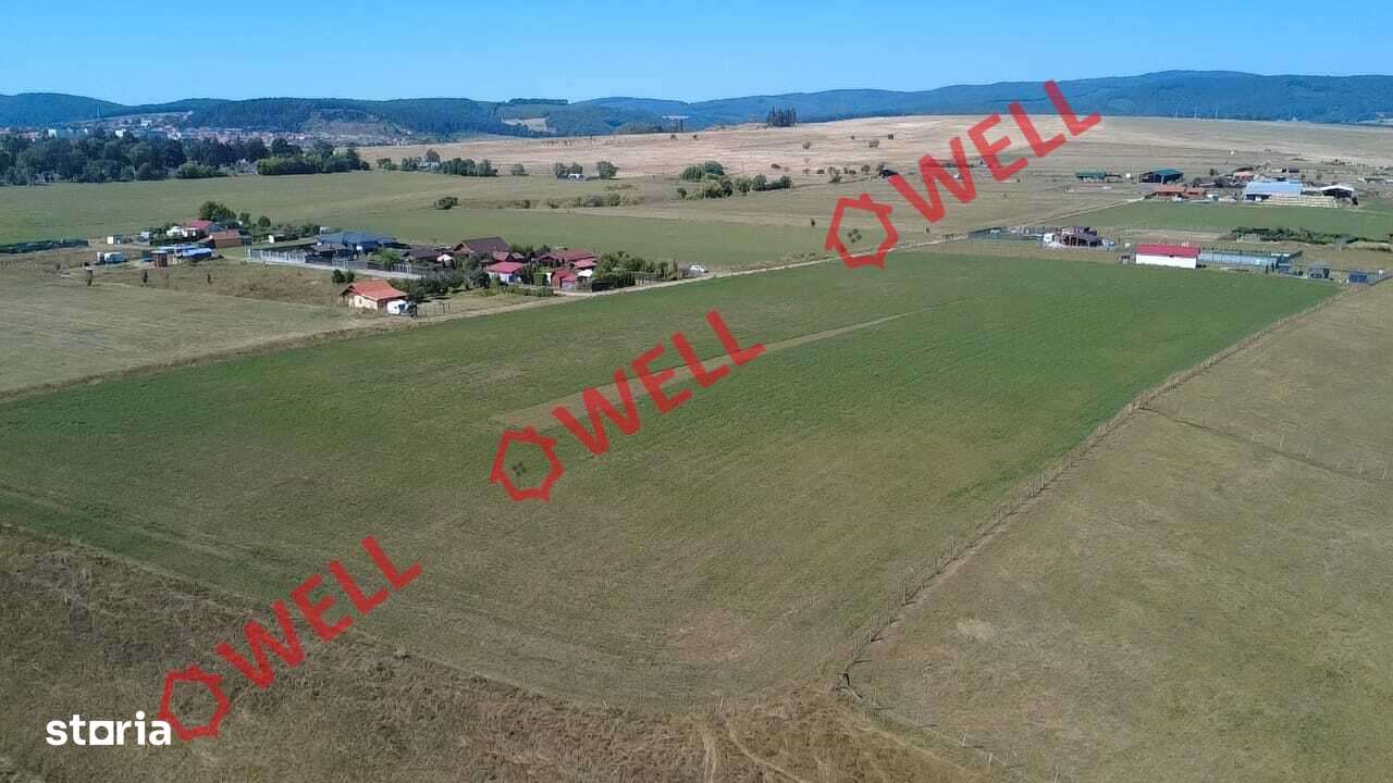 De vânzare teren extravilan în Sfântu Gheorghe pe „Dealul Bunica”! - Imagine principală: 4/10