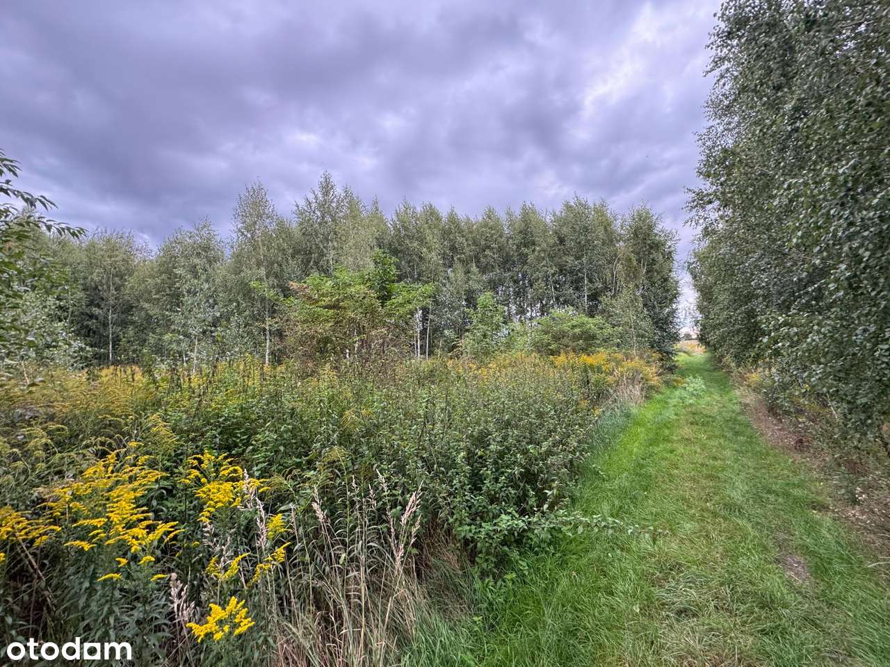 Dachowa | Dwie działki budowlane, łacznie  1552 m² z MPZP-17