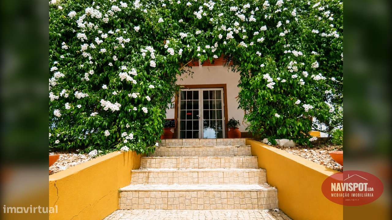 Quinta com Turismo Rural no coração do Alentejo-27