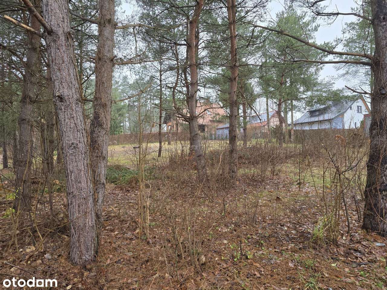 Działka rekreacyjna nad czystym jeziorem - Pełny obrazek: 5/8