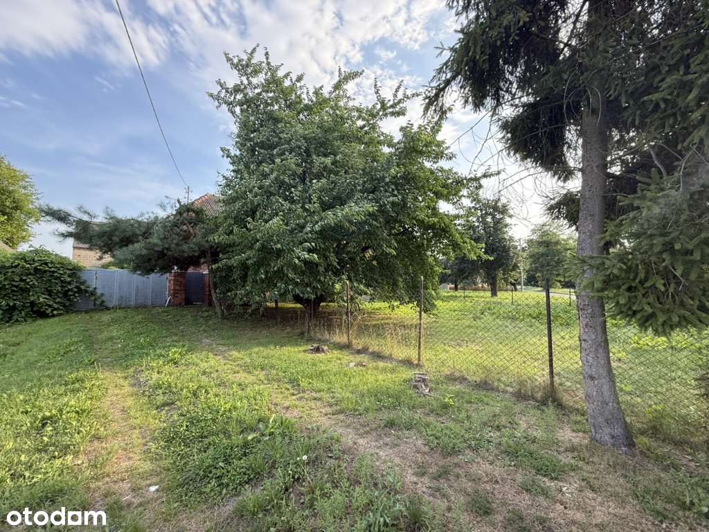 Dom z potencjałem + duża działka 2925 m² | Janków, gm. Pleszew - Pełny obrazek: 5/14