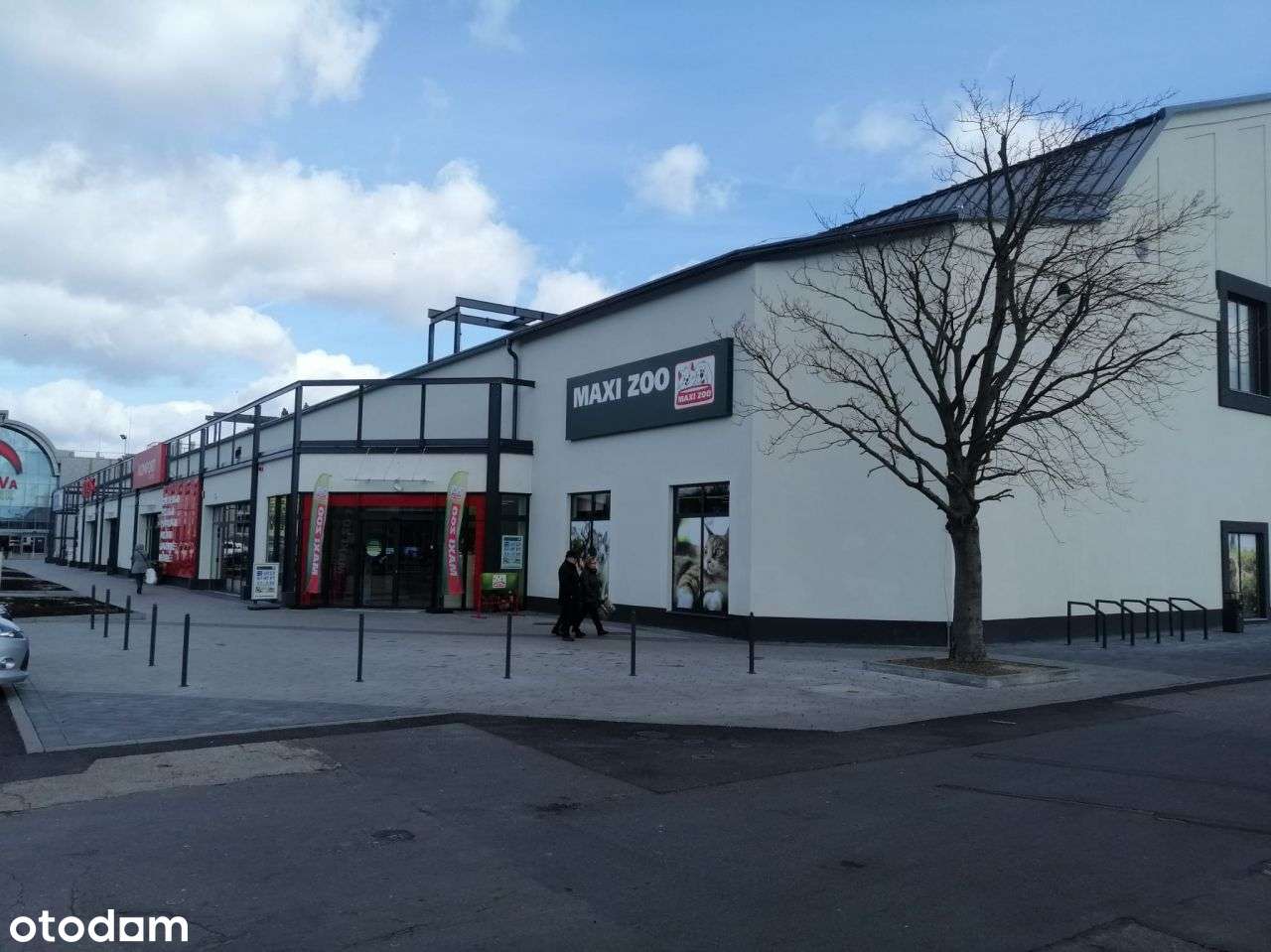 Nowoczesna powierzchnia biurowo-usługowa w centrum - Pełny obrazek: 5/6