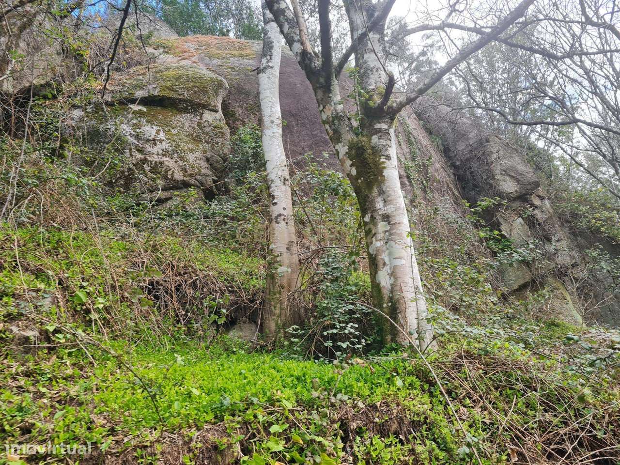 Quinta das Fontainhas, Rio de Moinhos, Penafiel-12