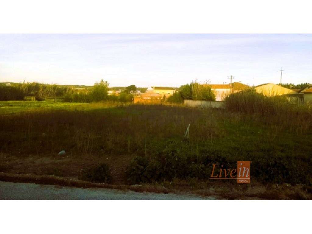 Terreno com 1720m2 na Silveira - Grande imagem: 5/10