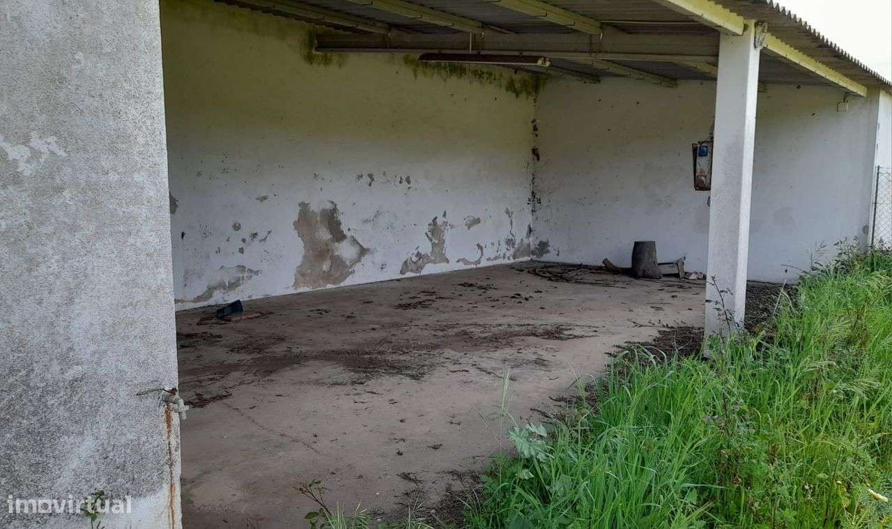 Setúbal/Padeiras Quinta 5000m2 para moradia.-8