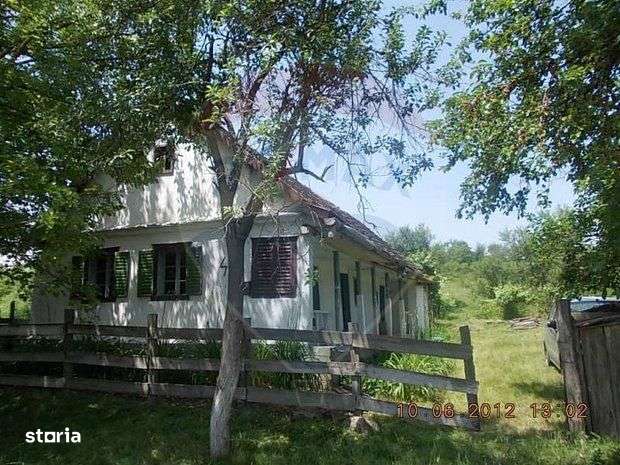 Teren 2877 mp, cu casă bătrânească de vânzare, BOGDA Timiș - Imagine principală: 2/4
