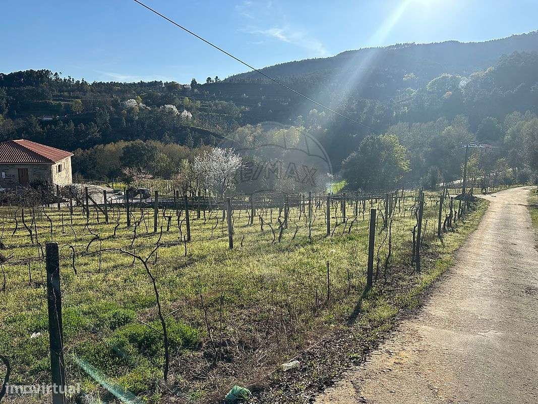 Terreno  para venda - Grande imagem: 5/7