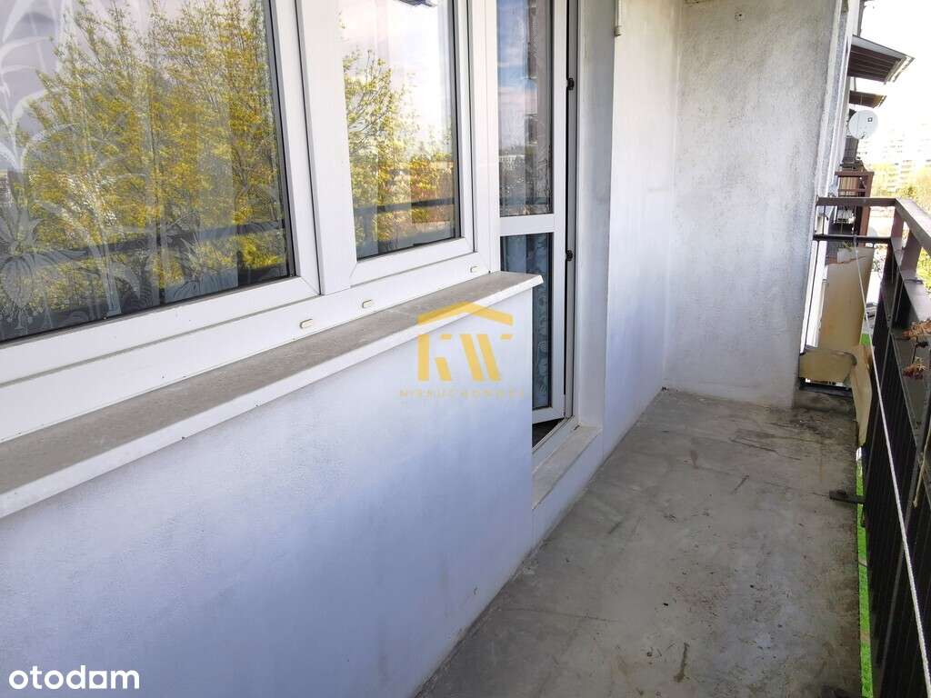 3 pok 59m najlepszy rozkład Młodzianów - Pełny obrazek: 5/11