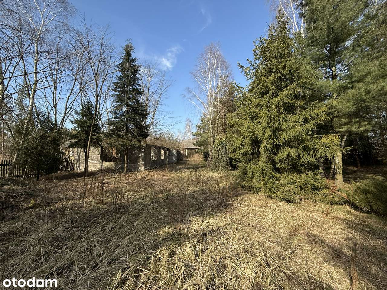 Działka budowlana 8200 m2, LIPICZE, szerokość 40 m ! - Pełny obrazek: 5/14