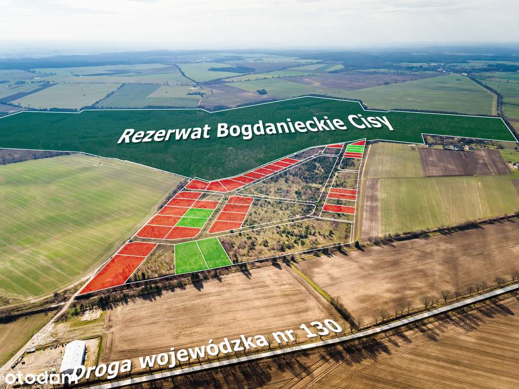 Działki na granicy Baczyna/Marwice miejscowy plan!-10