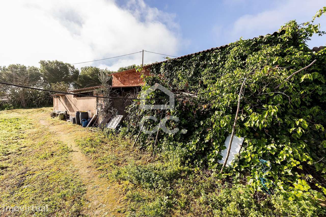 Quinta T5 de 0,9 ha com Moradias e Anexos | Torrão, Alcácer do Sal-44