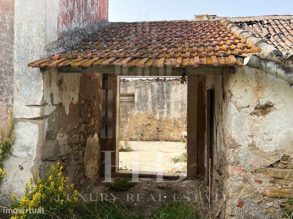 Quinta | Torres Vedras - Grande imagem: 2/60