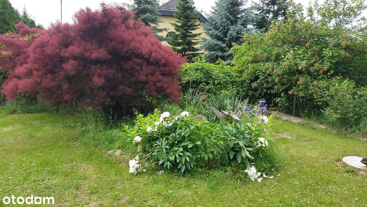 Wrocław - Krzyżanowice - Pełny obrazek: 5/20