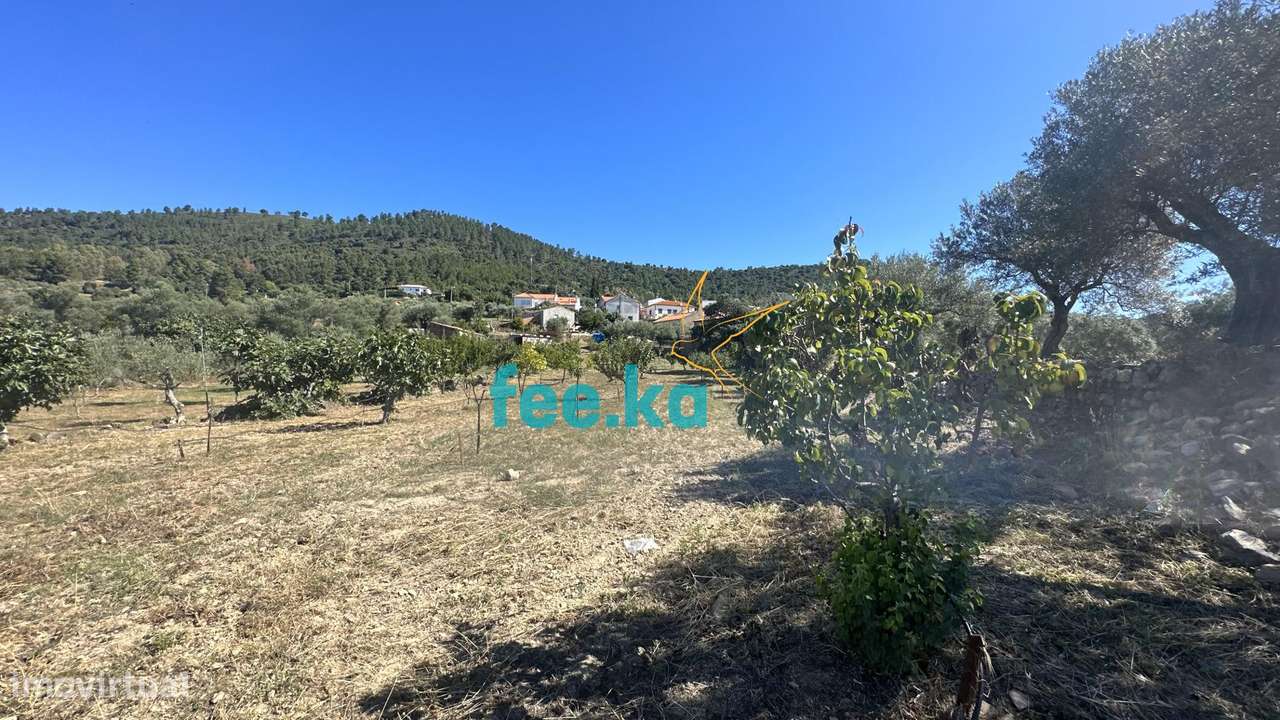 Quintinha em Monfortinho-28