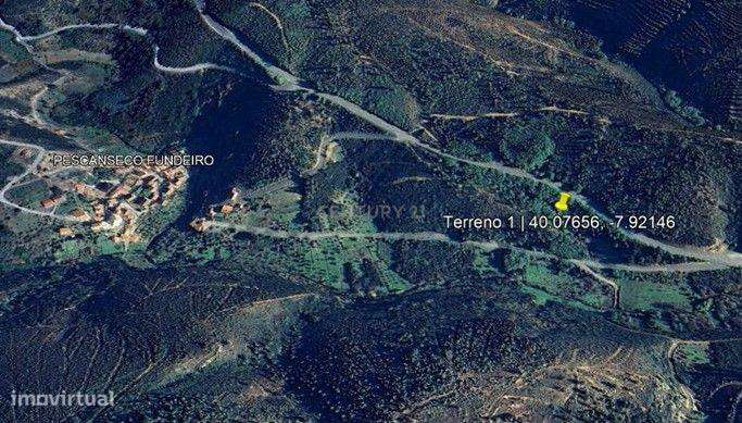 Terrenos Rústicos | Pescanseco Fundeiro | Pampilhosa da Serra - Grande imagem: 4/5