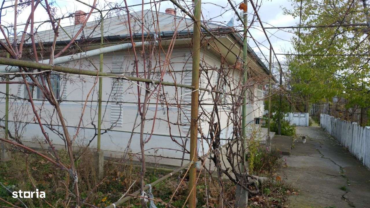 De VINZ. Casa 10 camere+depedinte, Zorleni Islaz , Id_Bursa 357-4