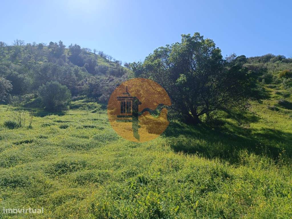 TERRENO COM 8.760 M2 - COM POÇO - EM PISA BARRO - CASTRO MARIM - AL... - Grande imagem: 4/29