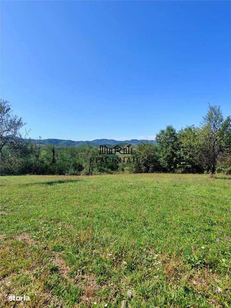 Teren intravilan 8757 mp cu potential turistic si acces direct la E79-8