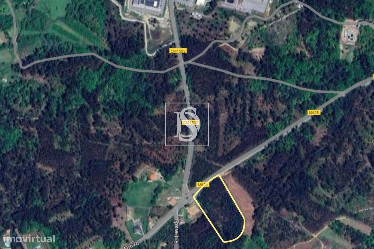 Terreno com 16.145m2 em Campo de Besteiros - Grande imagem: 5/5