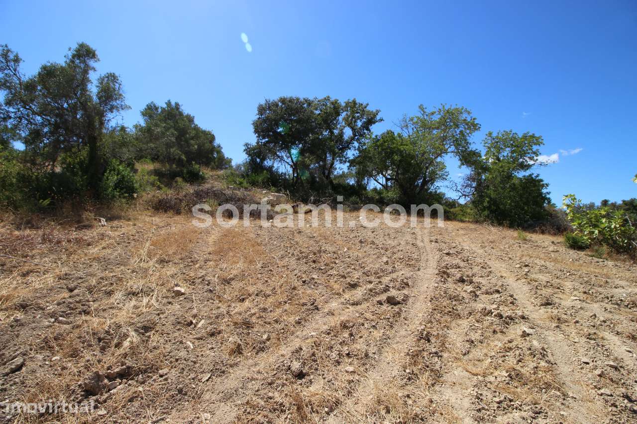 Terreno Rústico  Venda em Santa Bárbara de Nexe,Faro - Grande imagem: 4/6