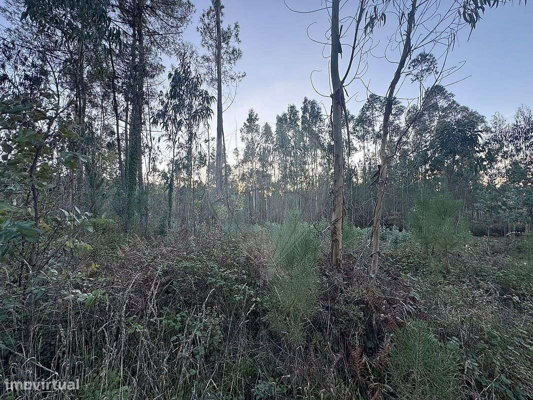 Terreno  para venda - Grande imagem: 5/14