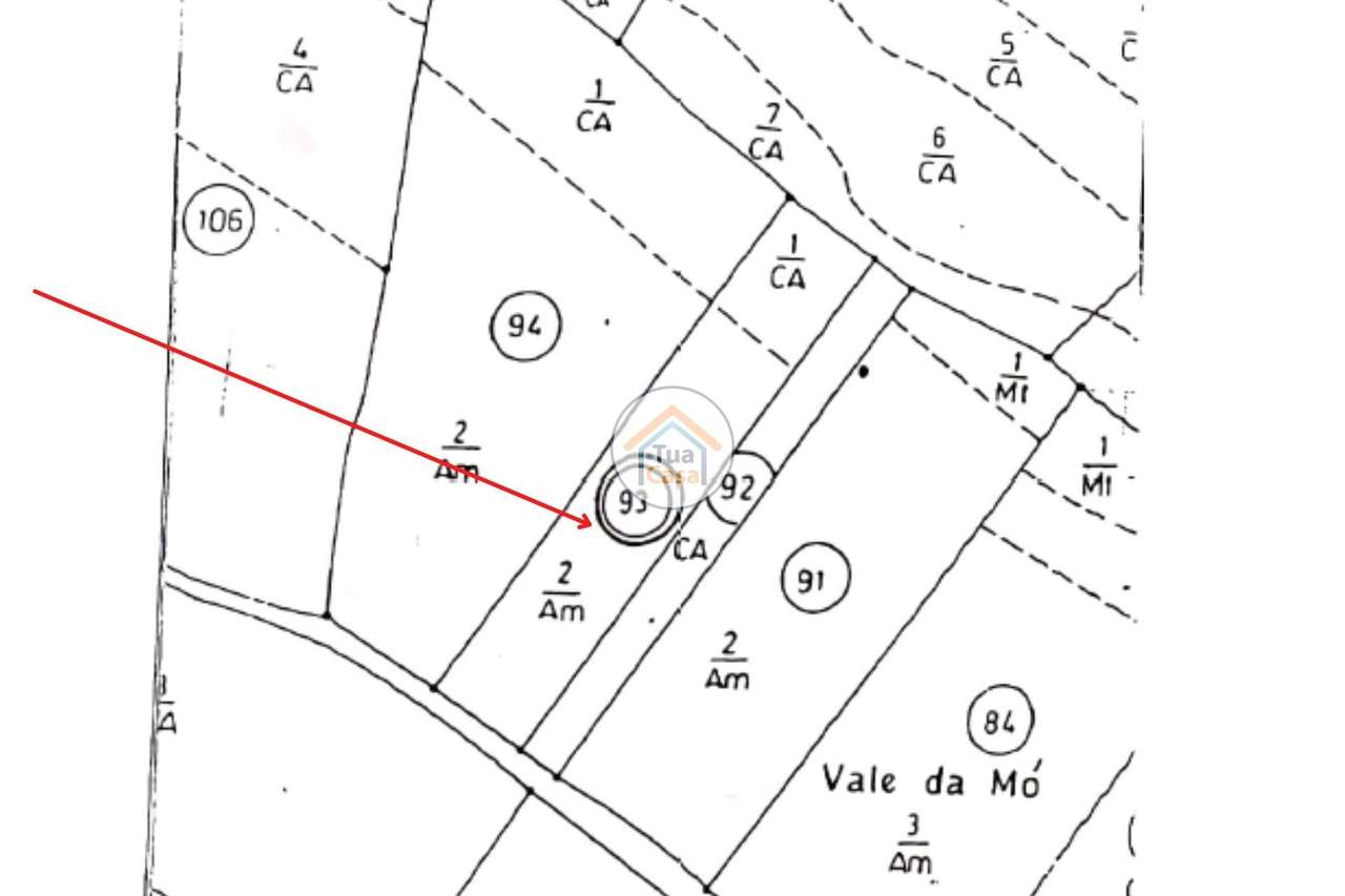 Terreno Rústico com Aproximadamente 3000 m2 Perto de Pechão - Grande imagem: 3/31