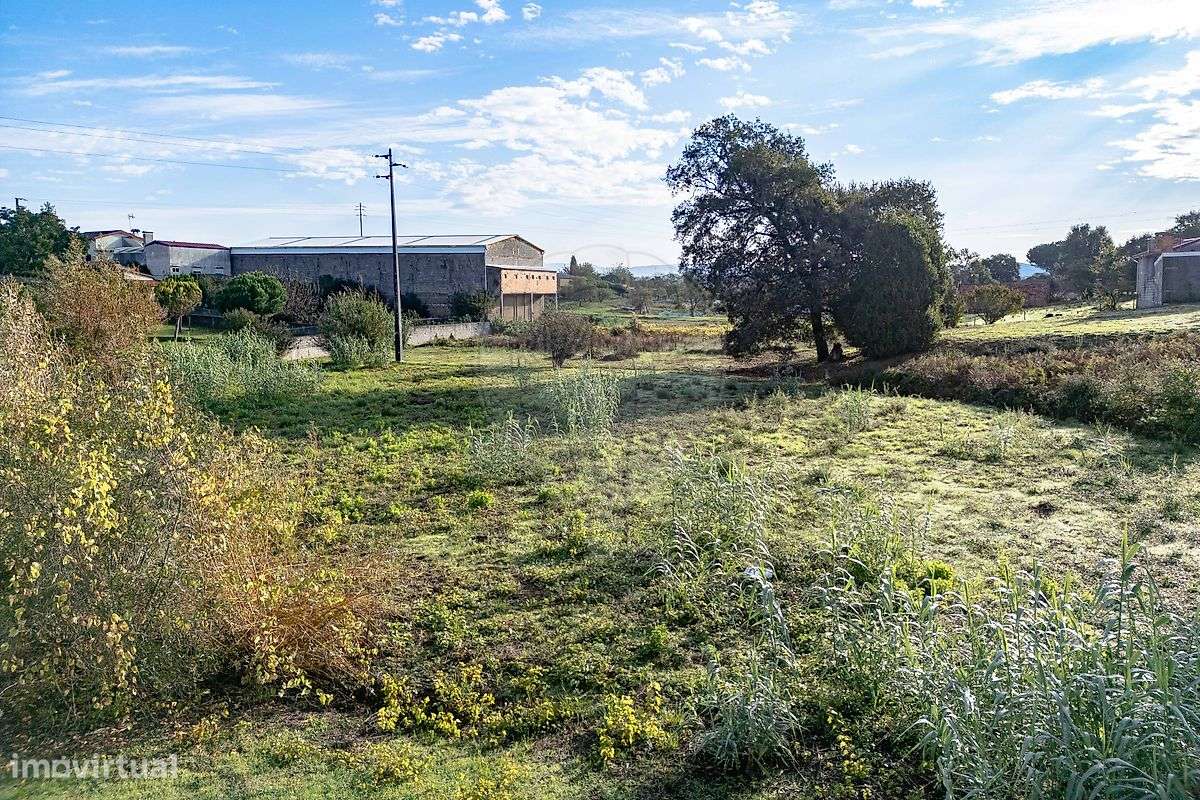 Terreno rústico com viabilidade de construção – Fogueira, Anadia - Grande imagem: 3/4