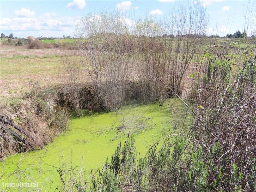 Quinta  para venda - Grande imagem: 2/37