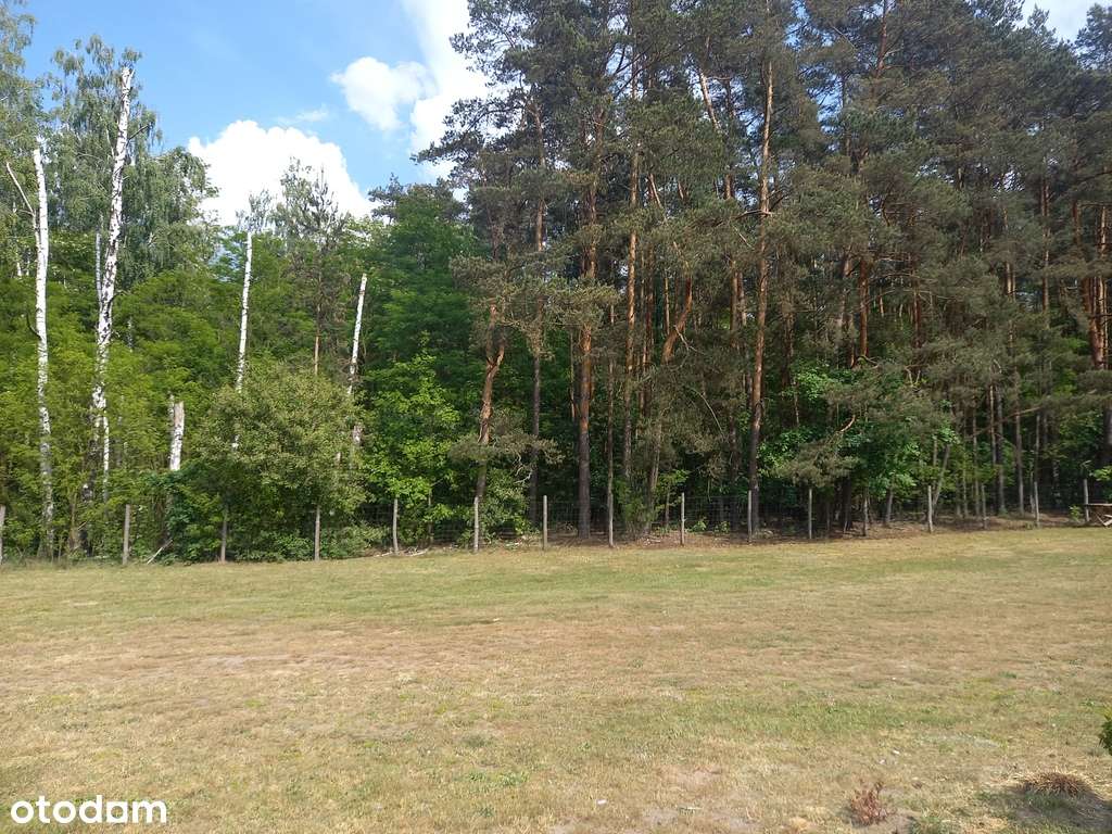 Działka Inwestycyjna pod Hotel/Pensjonat - Pełny obrazek: 3/11