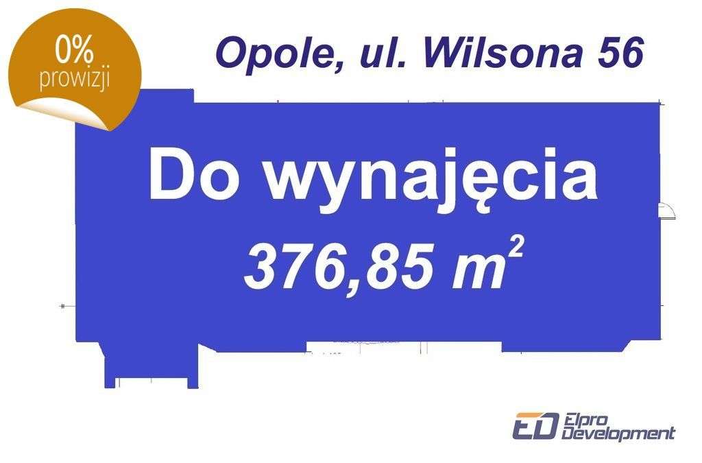 Opole / opolskie / ul. Wilsona - Pełny obrazek: 5/6