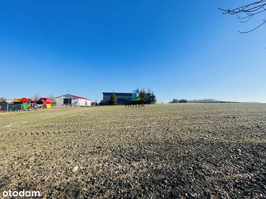 Działka w Kozłowie - Pełny obrazek: 5/10