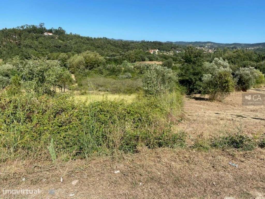 Terreno - Grande imagem: 5/6