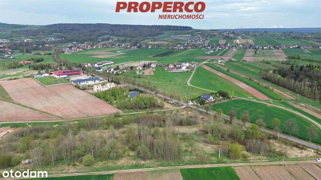 Działka 1306m2, Oblęgorek, gm. Strawczyn (media) - Pełny obrazek: 3/9