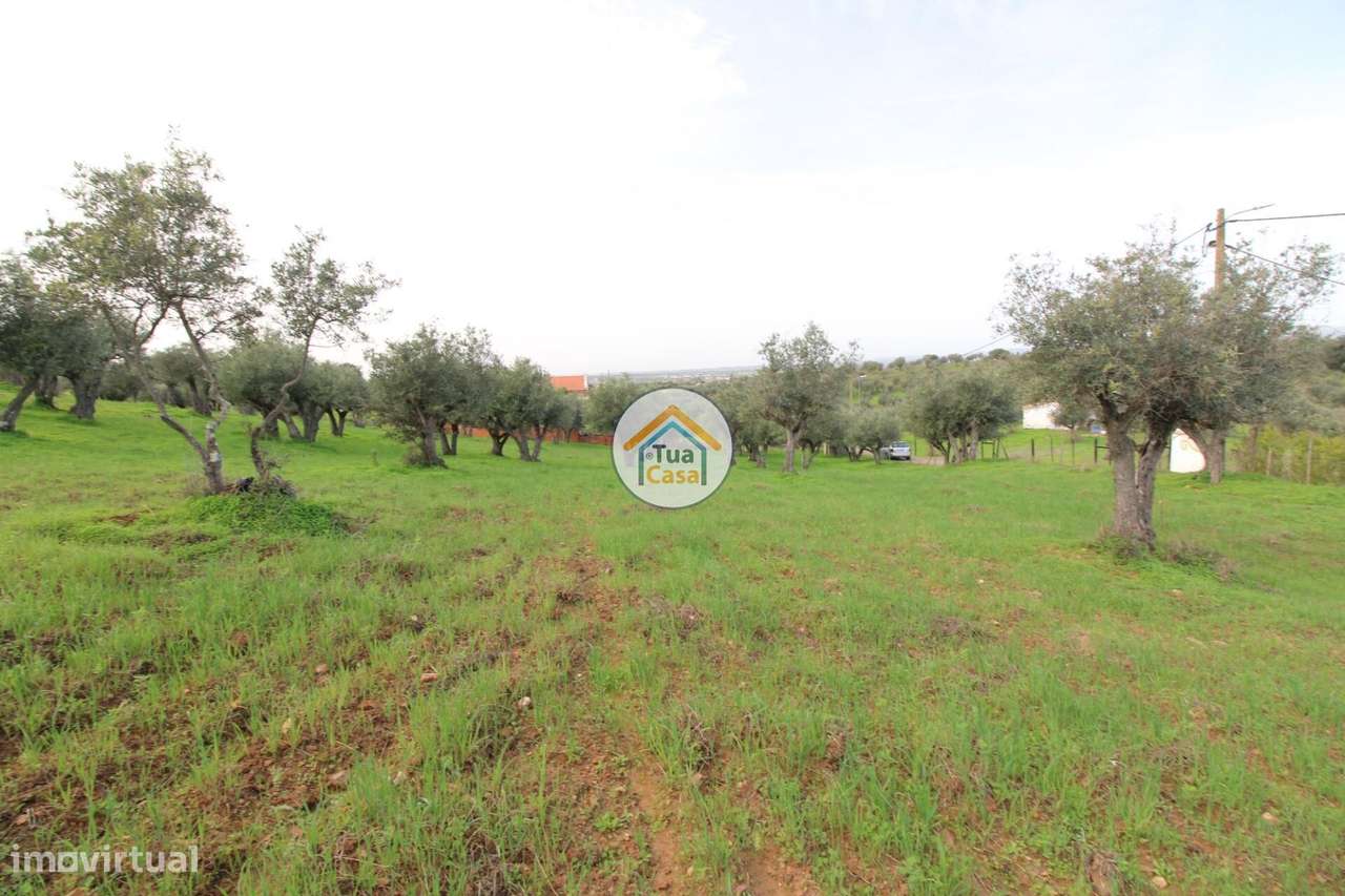 Terreno com área de 10.250m2 e com Viabilidade de Construção de 200m2 - Grande imagem: 4/16