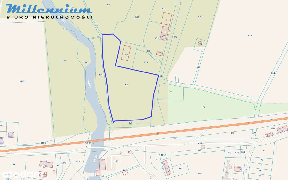 A może chcesz prowadzić spływy kajakowe?-7