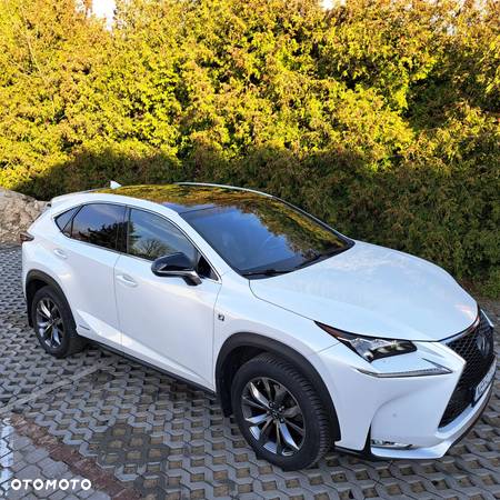 Lexus NX - 10