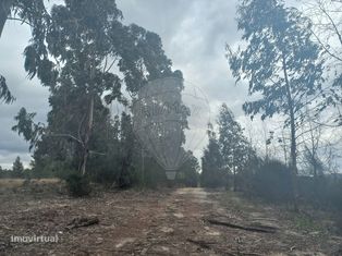 Terreno  para venda - Grande imagem: 4/6