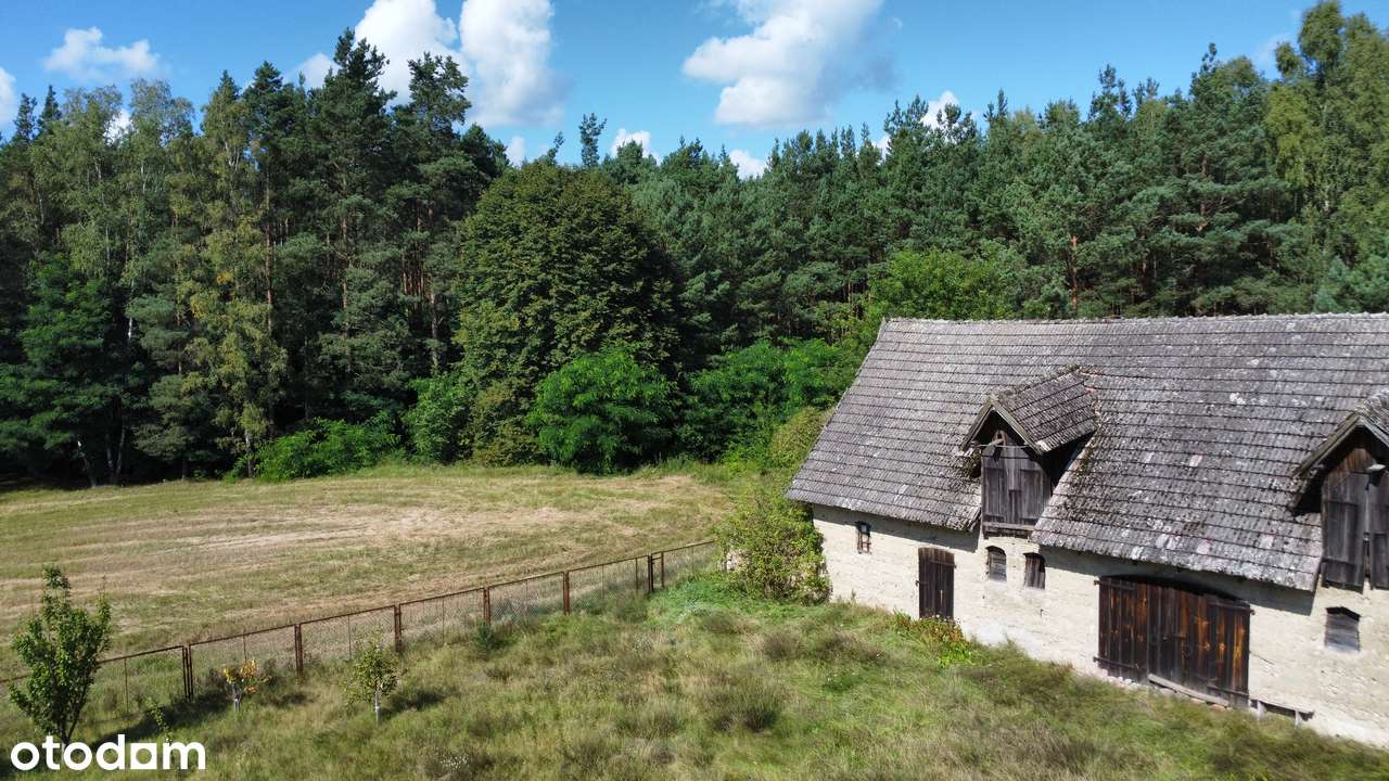 Nieruchomość inwestycyjna – dworek oraz 4,99 ha z możliwością podziału - Pełny obrazek: 5/8
