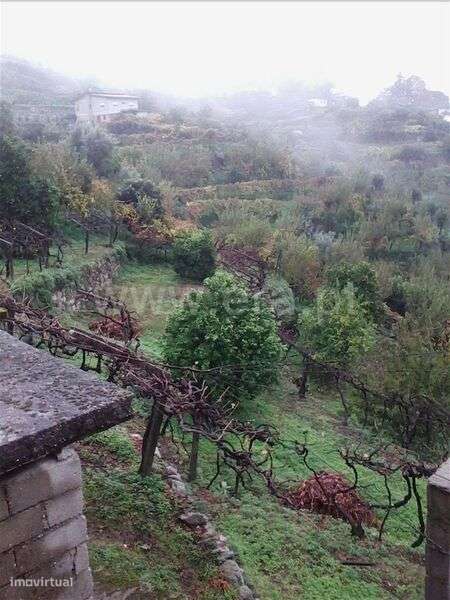 Lote / Baião, Baião (Santa Leocádia) e Mesquinhata - Grande imagem: 1/6