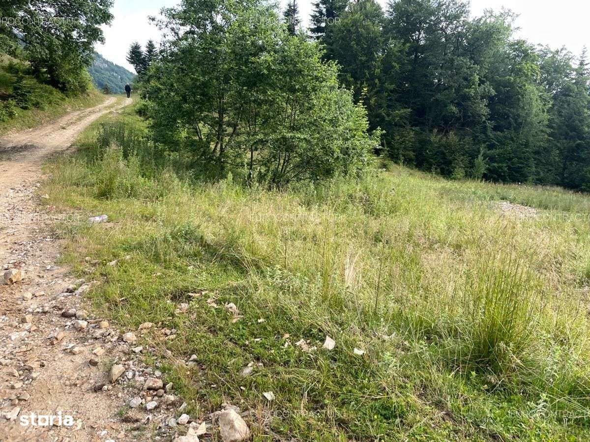 Teren Rasnov inntravilan PUZ) zona Parau Rece - Imagine principală: 5/15