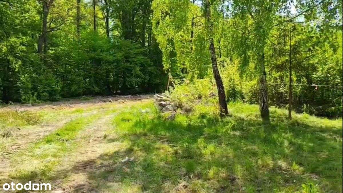 Duża działka przy lesie z widokiem na staw / WZ-3
